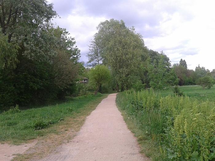 MONTGERON  - Immobilier - CENTURY 21 Bellimmo - Promenade_liaison_verte_et_rivière_de_l'Yerres