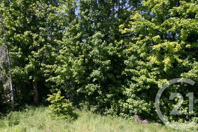 Afficher la photo en grand maison à vendre - 6 pièces - 97.0 m2 - MONTGERON - 91 - ILE-DE-FRANCE - Century 21 Bellimmo