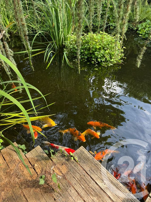 maison à vendre - 7 pièces - 190.0 m2 - MONTGERON - 91 - ILE-DE-FRANCE - Century 21 Bellimmo