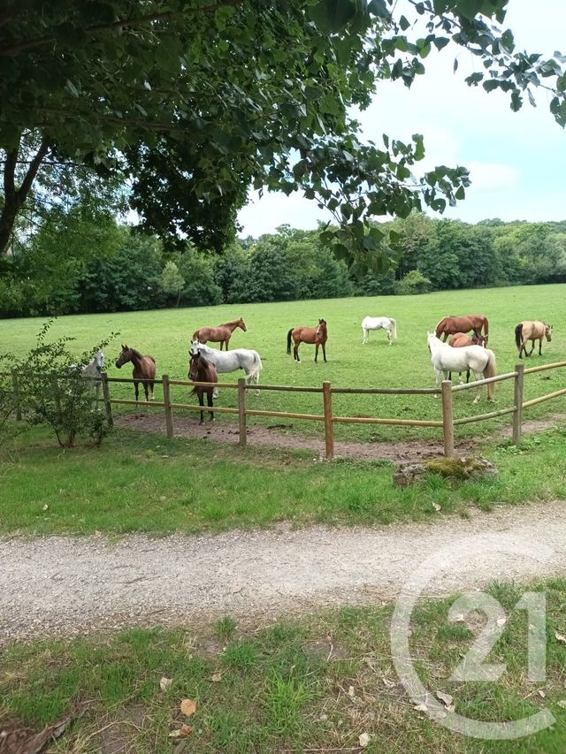 Appartement F1 à vendre - 1 pièce - 34.0 m2 - CROSNE - 91 - ILE-DE-FRANCE - Century 21 Bellimmo